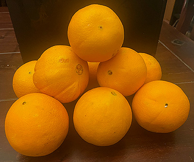 sizilianische orangen