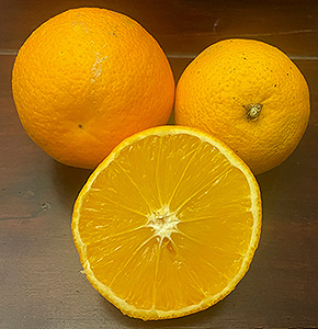 vanilla orangen