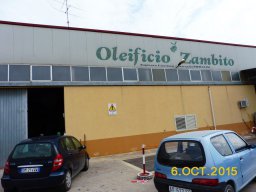 Olivenernte 2015